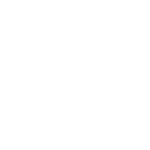 Client 8